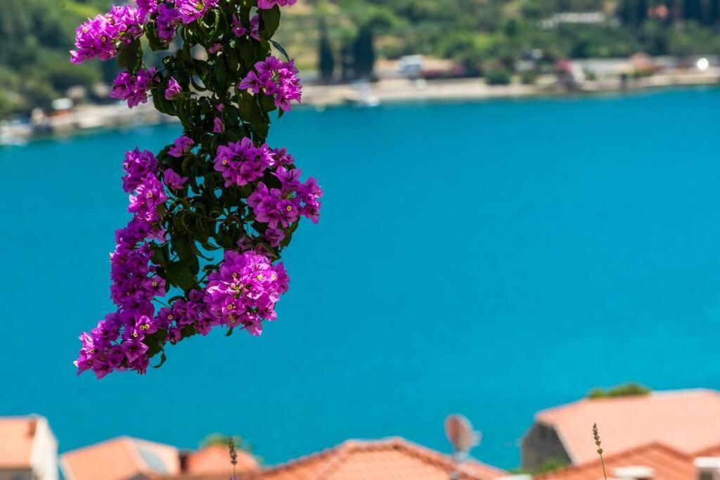 Villa Mardia- Sea View Infinity Pool Built 2023 Zaton  Exterior foto